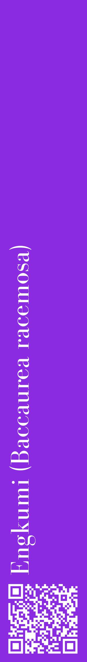 Étiquette de : Baccaurea racemosa - format c - style blanche49_basiquebod avec qrcode et comestibilité