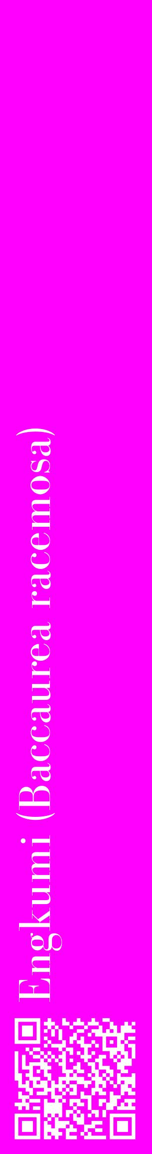 Étiquette de : Baccaurea racemosa - format c - style blanche51_basiquebod avec qrcode et comestibilité