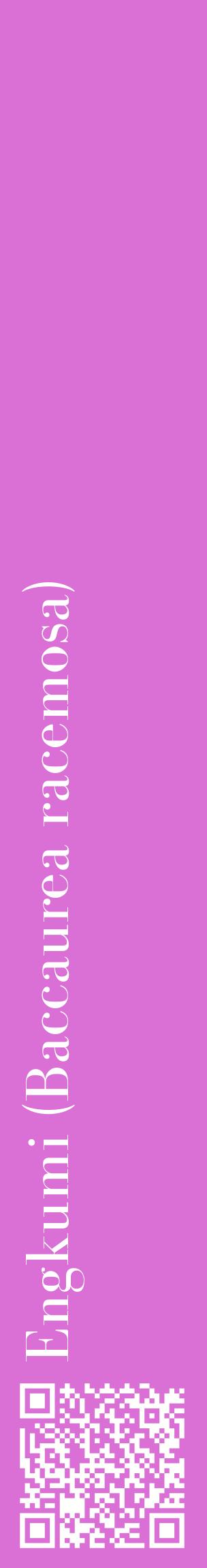 Étiquette de : Baccaurea racemosa - format c - style blanche52_basiquebod avec qrcode et comestibilité