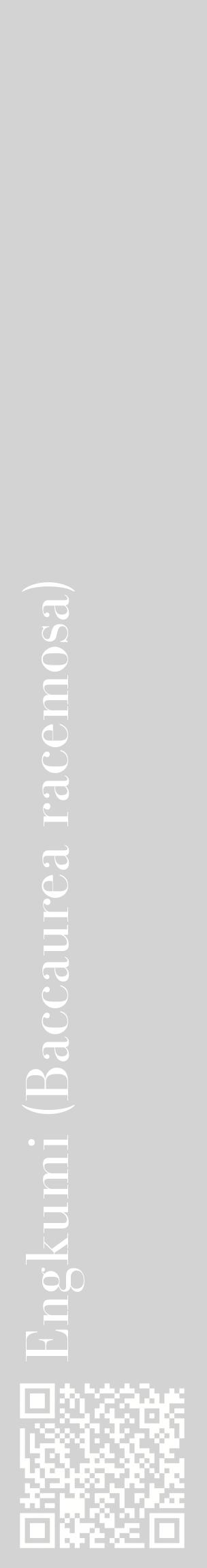Étiquette de : Baccaurea racemosa - format c - style blanche56_basiquebod avec qrcode et comestibilité