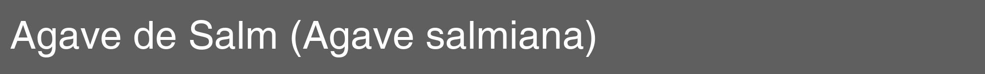 Étiquette de : Agave salmiana - format a - style blanche10hel avec comestibilité