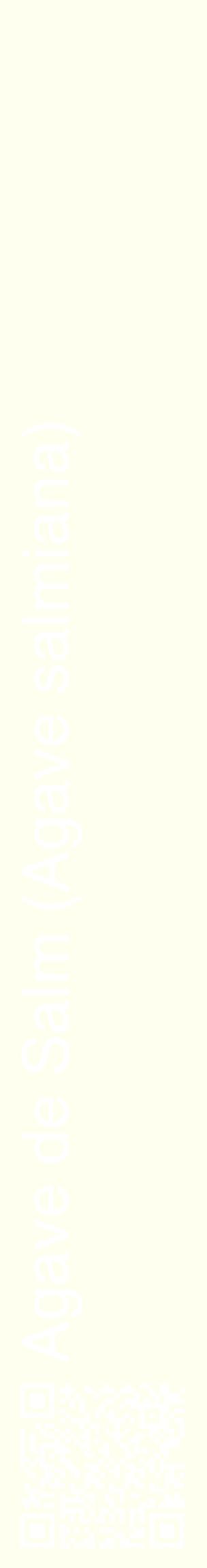 Étiquette de : Agave salmiana - format c - style blanche19_basiquehel avec qrcode et comestibilité