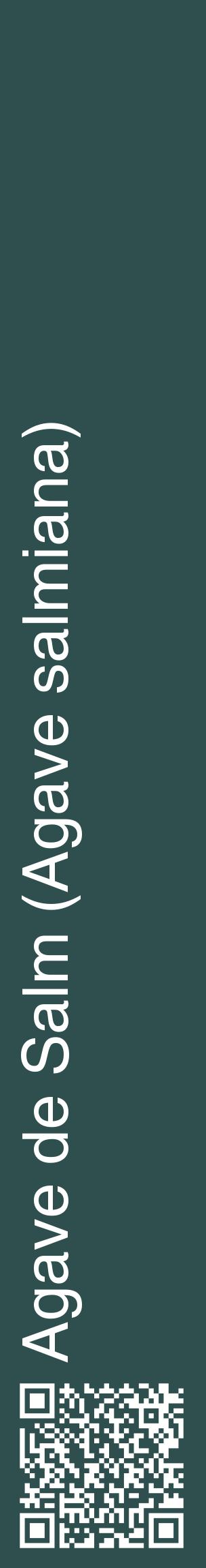 Étiquette de : Agave salmiana - format c - style blanche58_basiquehel avec qrcode et comestibilité