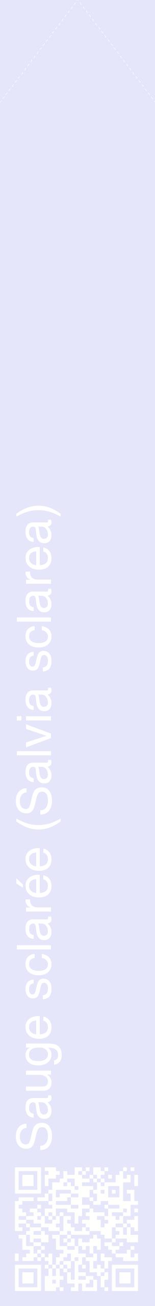 Étiquette de : Salvia sclarea - format c - style blanche55_simplehel avec qrcode et comestibilité