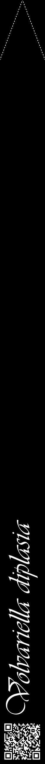 Étiquette de : Volvariella diplasia - format b - style blanche59viv avec qrcode et comestibilité