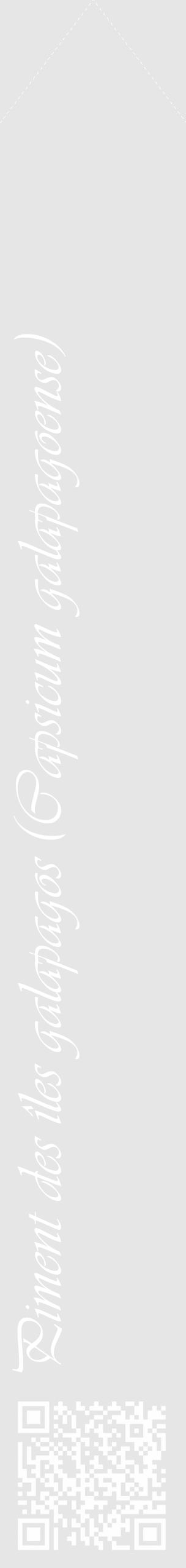 Étiquette de : Capsicum galapagoense - format c - style blanche18_simple_simpleviv avec qrcode et comestibilité - position verticale