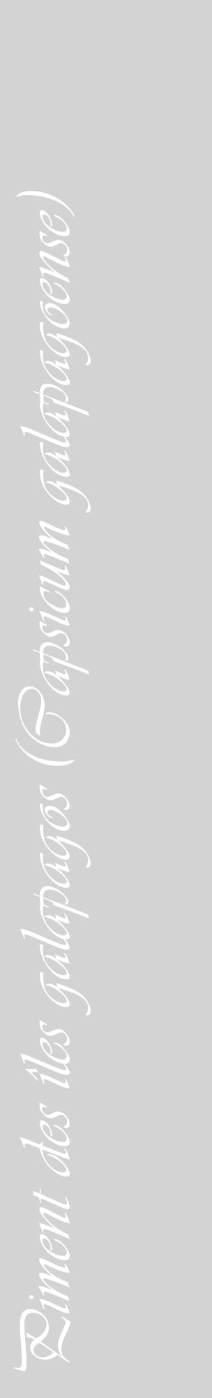 Étiquette de : Capsicum galapagoense - format c - style blanche56_basiqueviv avec comestibilité