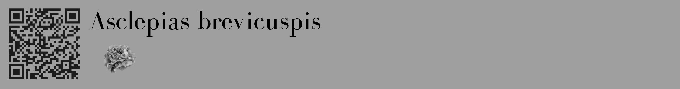 Étiquette de : Asclepias brevicuspis - format c - style noire24_basique_basiquebod avec qrcode et comestibilité simplifiée