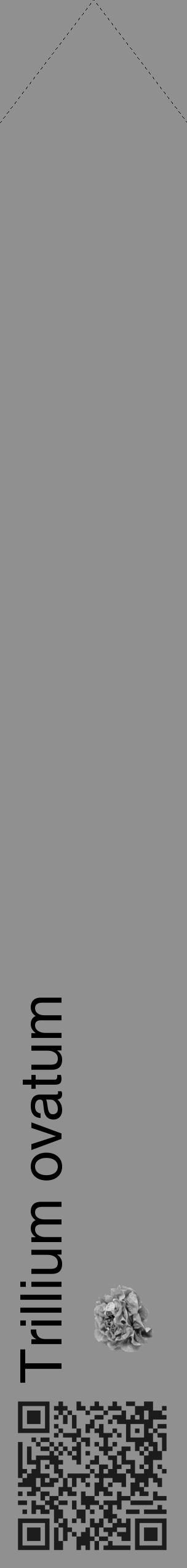 Étiquette de : Trillium ovatum - format c - style noire4_simple_simplehel avec qrcode et comestibilité simplifiée - position verticale