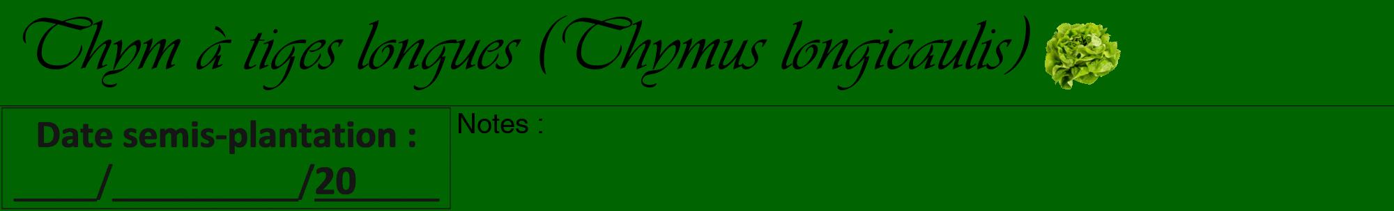 Étiquette de : Thymus longicaulis - format a - style noire8viv avec comestibilité simplifiée