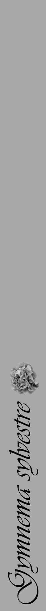 Étiquette de : Gymnema sylvestre - format a - style noire13viv avec comestibilité simplifiée - position verticale