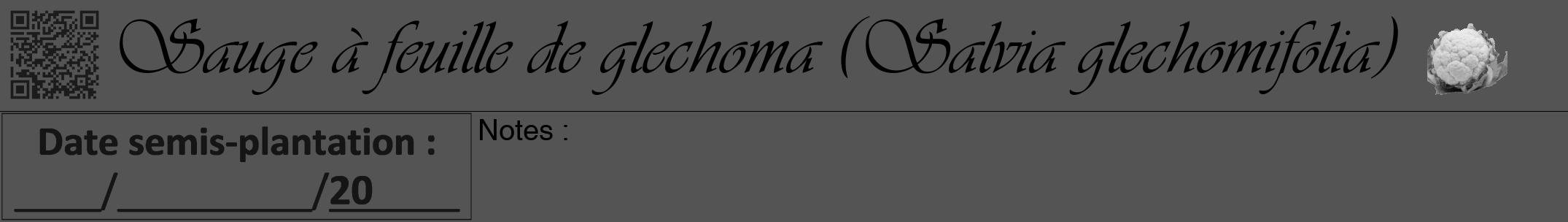 Étiquette de : Salvia glechomifolia - format a - style noire36viv avec qrcode et comestibilité simplifiée