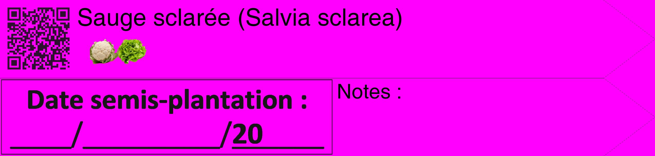 Étiquette de : Salvia sclarea - format c - style noire51_simple_simplehel avec qrcode et comestibilité simplifiée