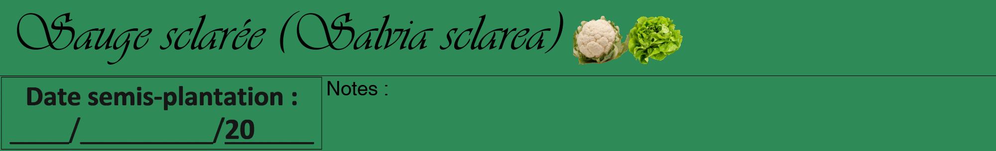 Étiquette de : Salvia sclarea - format a - style noire11viv avec comestibilité simplifiée