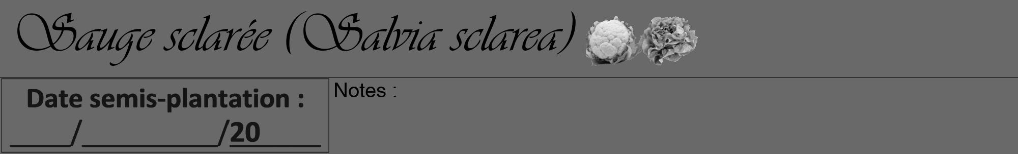 Étiquette de : Salvia sclarea - format a - style noire11viv avec comestibilité simplifiée