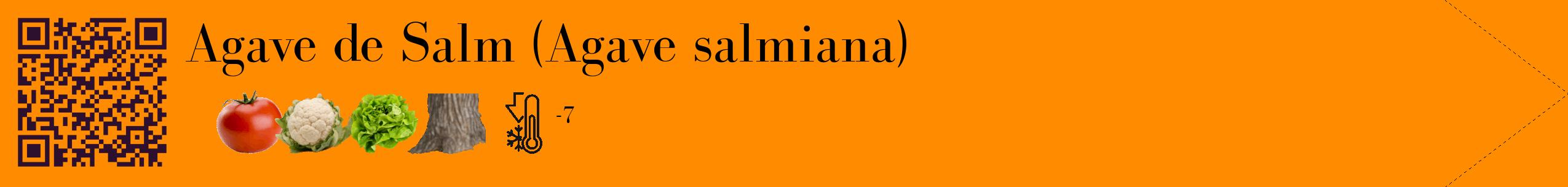 Étiquette de : Agave salmiana - format c - style noire23_simple_simplebod avec qrcode et comestibilité simplifiée