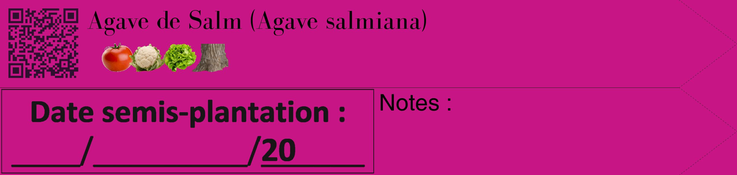 Étiquette de : Agave salmiana - format c - style noire45_simple_simplebod avec qrcode et comestibilité simplifiée