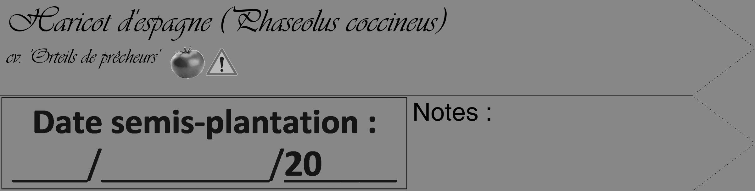 Étiquette de : Phaseolus coccineus cv. 'Orteils de prêcheurs' - format c - style noire12_simple_simpleviv avec comestibilité simplifiée