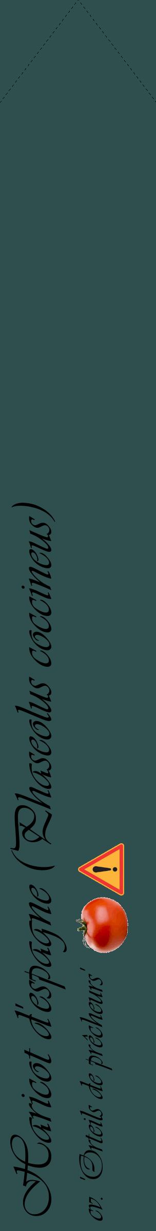 Étiquette de : Phaseolus coccineus cv. 'Orteils de prêcheurs' - format c - style noire58_simpleviv avec comestibilité simplifiée