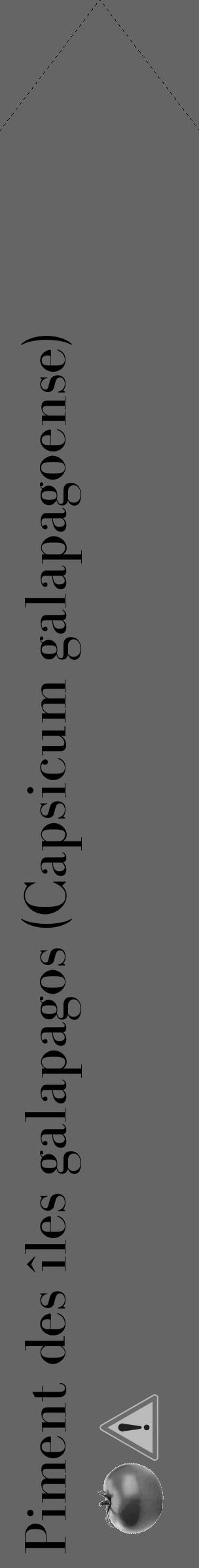 Étiquette de : Capsicum galapagoense - format c - style noire32_simple_simplebod avec comestibilité simplifiée - position verticale