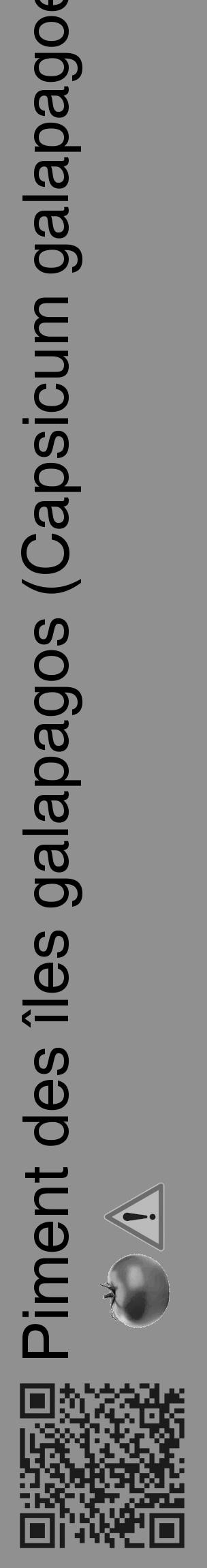 Étiquette de : Capsicum galapagoense - format c - style noire4_basique_basiquehel avec qrcode et comestibilité simplifiée - position verticale