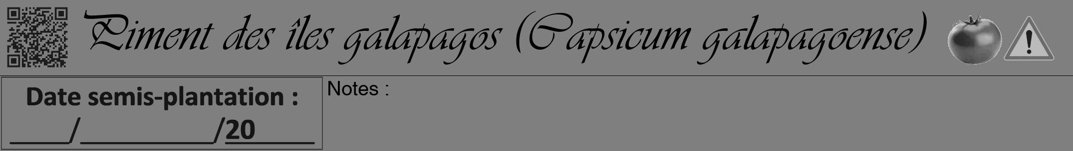Étiquette de : Capsicum galapagoense - format a - style noire31viv avec qrcode et comestibilité simplifiée