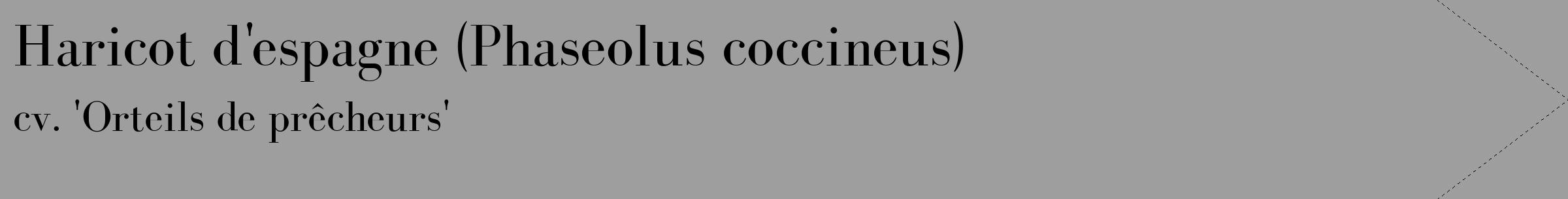 Étiquette de : Phaseolus coccineus cv. 'Orteils de prêcheurs' - format c - style noire23_simple_simplebod avec comestibilité