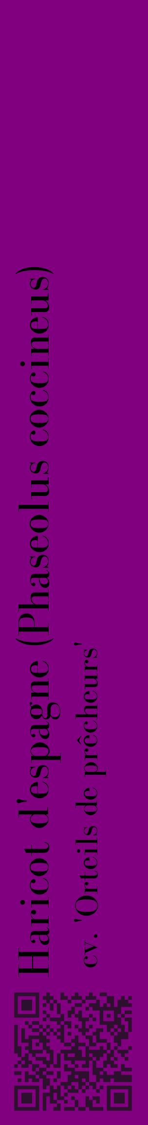 Étiquette de : Phaseolus coccineus cv. 'Orteils de prêcheurs' - format c - style noire46_basiquebod avec qrcode et comestibilité