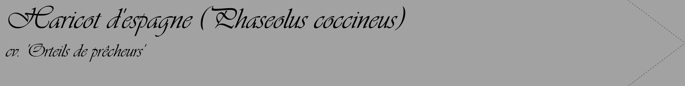 Étiquette de : Phaseolus coccineus cv. 'Orteils de prêcheurs' - format c - style noire38_simple_simpleviv avec comestibilité