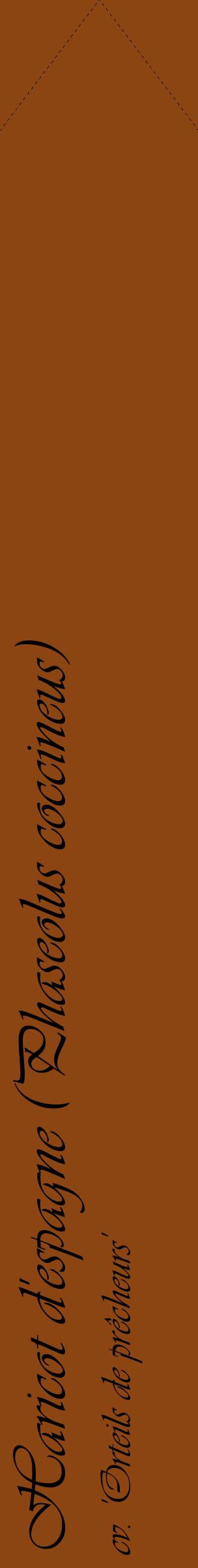 Étiquette de : Phaseolus coccineus cv. 'Orteils de prêcheurs' - format c - style noire30_simpleviv avec comestibilité