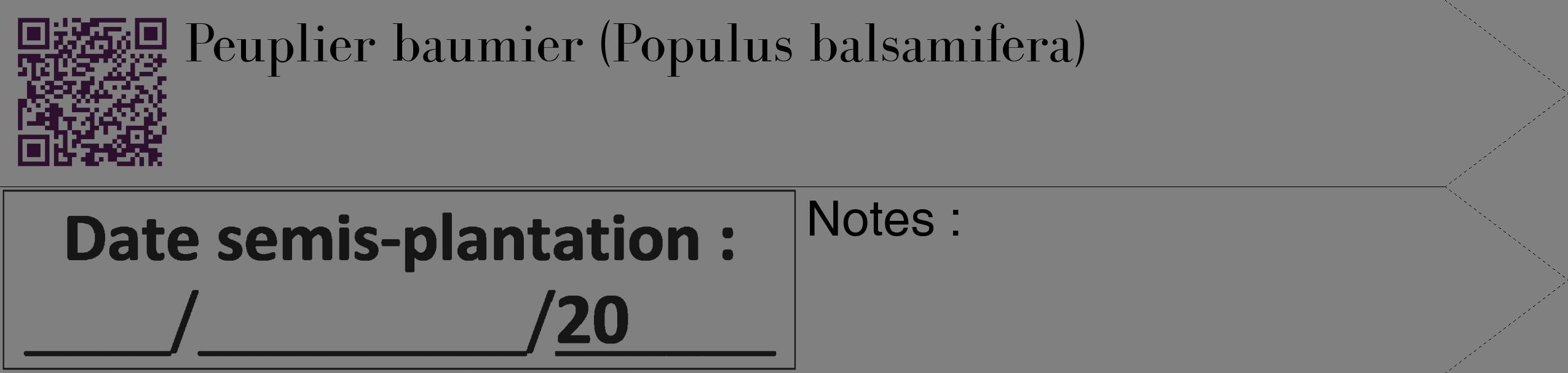 Étiquette de : Populus balsamifera - format c - style noire57_simple_simplebod avec qrcode et comestibilité