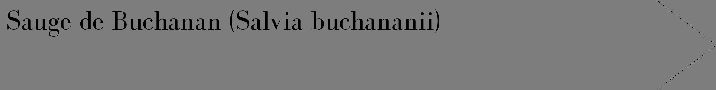 Étiquette de : Salvia buchananii - format c - style noire35_simple_simplebod avec comestibilité