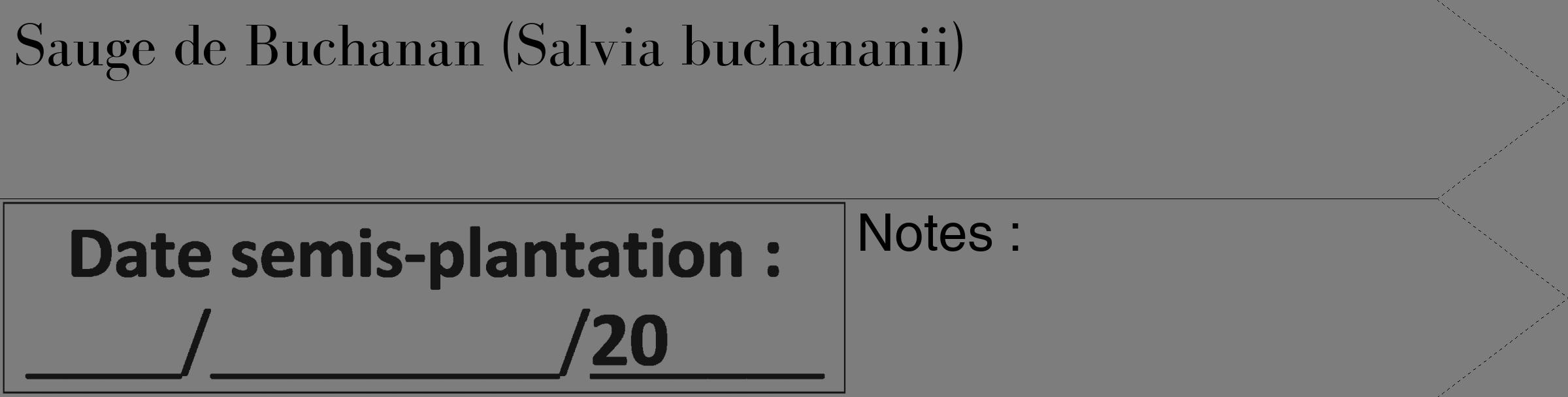 Étiquette de : Salvia buchananii - format c - style noire35_simple_simplebod avec comestibilité
