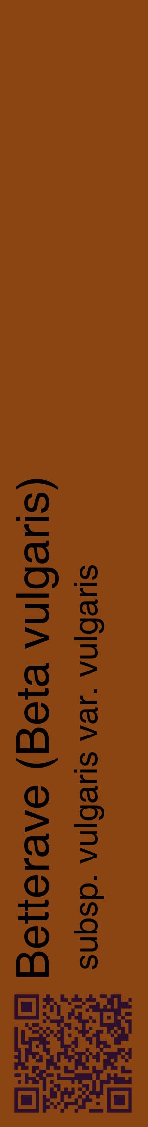 Étiquette de : Beta vulgaris subsp. vulgaris var. vulgaris - format c - style noire30_basiquehel avec qrcode et comestibilité