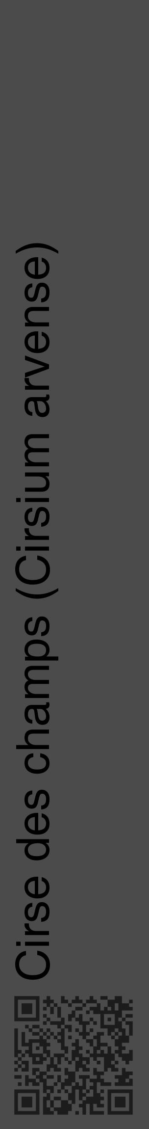 Étiquette de : Cirsium arvense - format c - style noire9_basique_basiquehel avec qrcode et comestibilité - position verticale