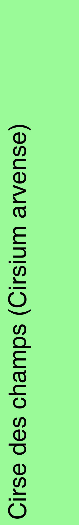 Étiquette de : Cirsium arvense - format c - style noire14_basiquehel avec comestibilité