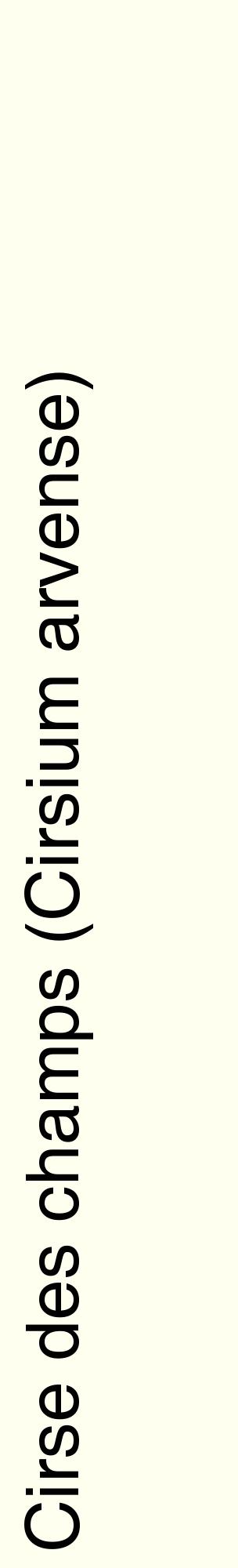 Étiquette de : Cirsium arvense - format c - style noire19_basiquehel avec comestibilité