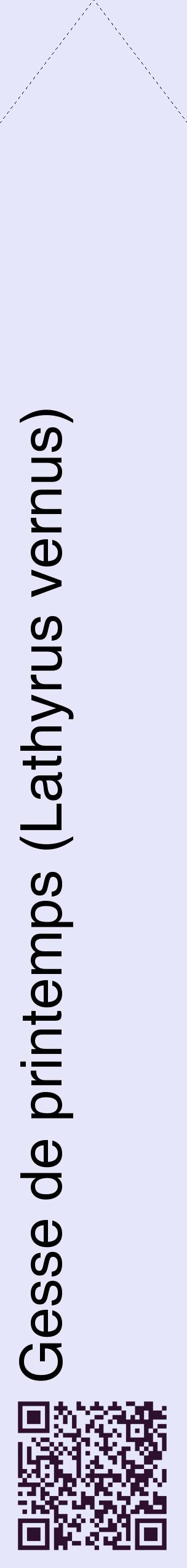Étiquette de : Lathyrus vernus - format c - style noire55_simplehel avec qrcode et comestibilité