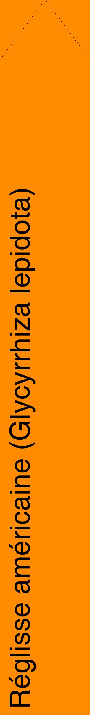 Étiquette de : Glycyrrhiza lepidota - format c - style noire23_simplehel avec comestibilité
