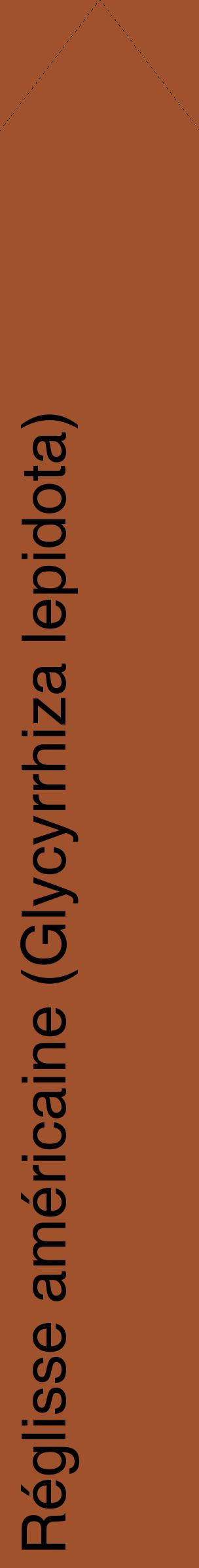 Étiquette de : Glycyrrhiza lepidota - format c - style noire32_simplehel avec comestibilité