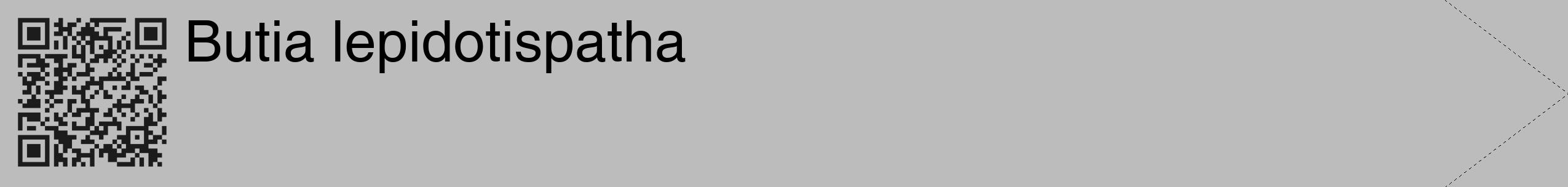 Étiquette de : Butia lepidotispatha - format c - style noire1_simple_simplehel avec qrcode et comestibilité