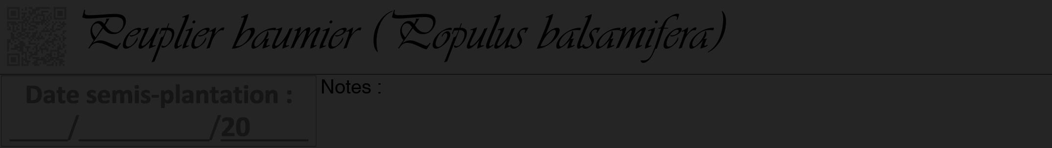 Étiquette de : Populus balsamifera - format a - style noire47viv avec qrcode et comestibilité