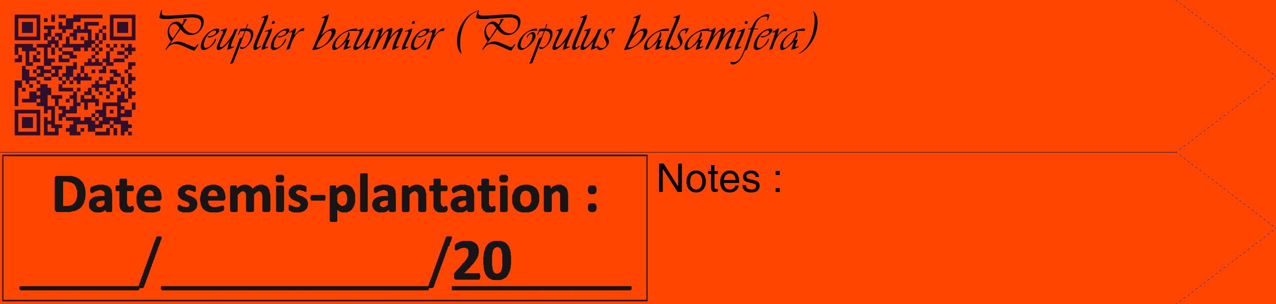 Étiquette de : Populus balsamifera - format c - style noire26_simple_simpleviv avec qrcode et comestibilité