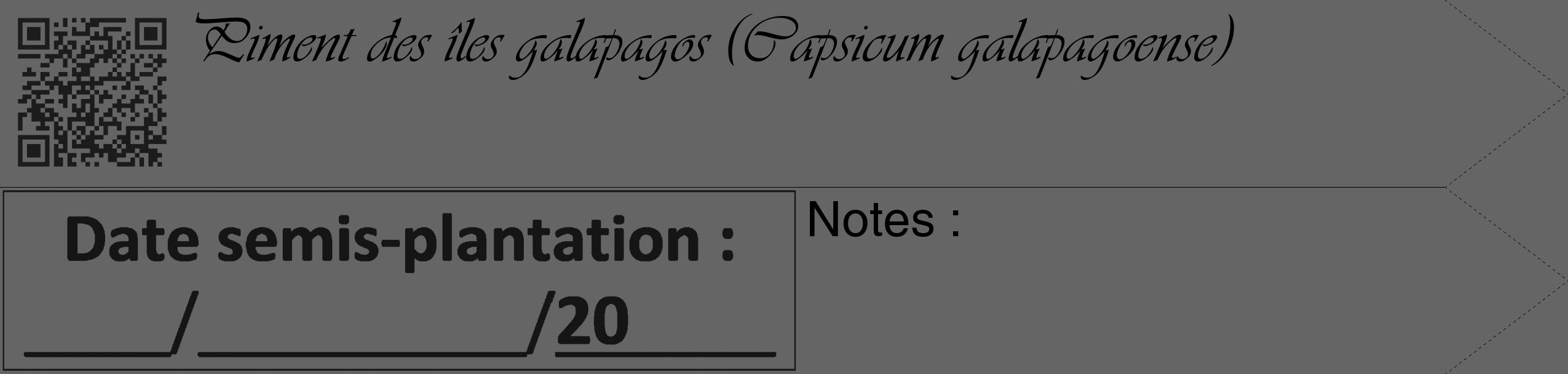 Étiquette de : Capsicum galapagoense - format c - style noire32_simple_simpleviv avec qrcode et comestibilité
