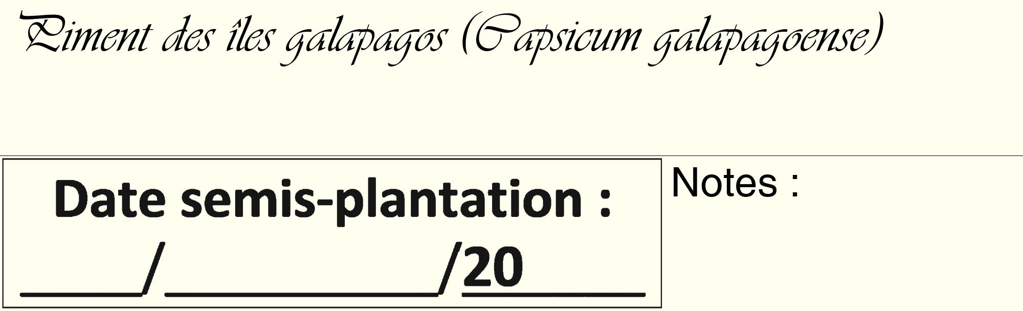 Étiquette de : Capsicum galapagoense - format c - style noire19_basique_basiqueviv avec comestibilité