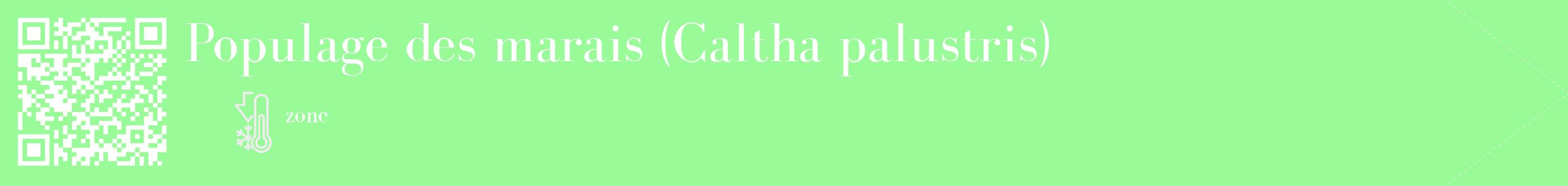 Étiquette de : Caltha palustris - format c - style blanche14_simple_simplebod avec qrcode et comestibilité