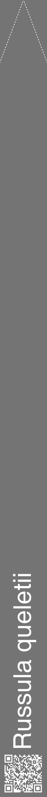 Étiquette de : Russula queletii - format b - style blanche26hel avec qrcode et comestibilité - position verticale