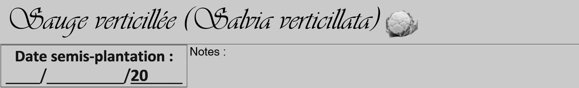 Étiquette de : Salvia verticillata - format a - style noire21viv avec comestibilité simplifiée