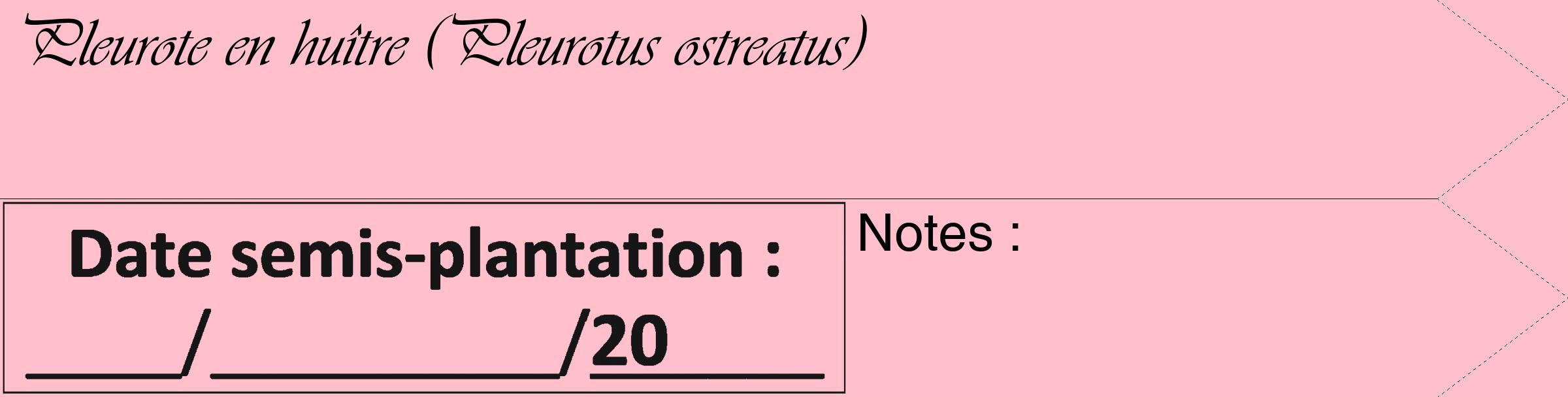 Étiquette de : Pleurotus ostreatus - format c - style noire40_simple_simpleviv avec comestibilité