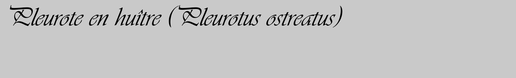 Étiquette de : Pleurotus ostreatus - format c - style noire54_basique_basiqueviv avec comestibilité